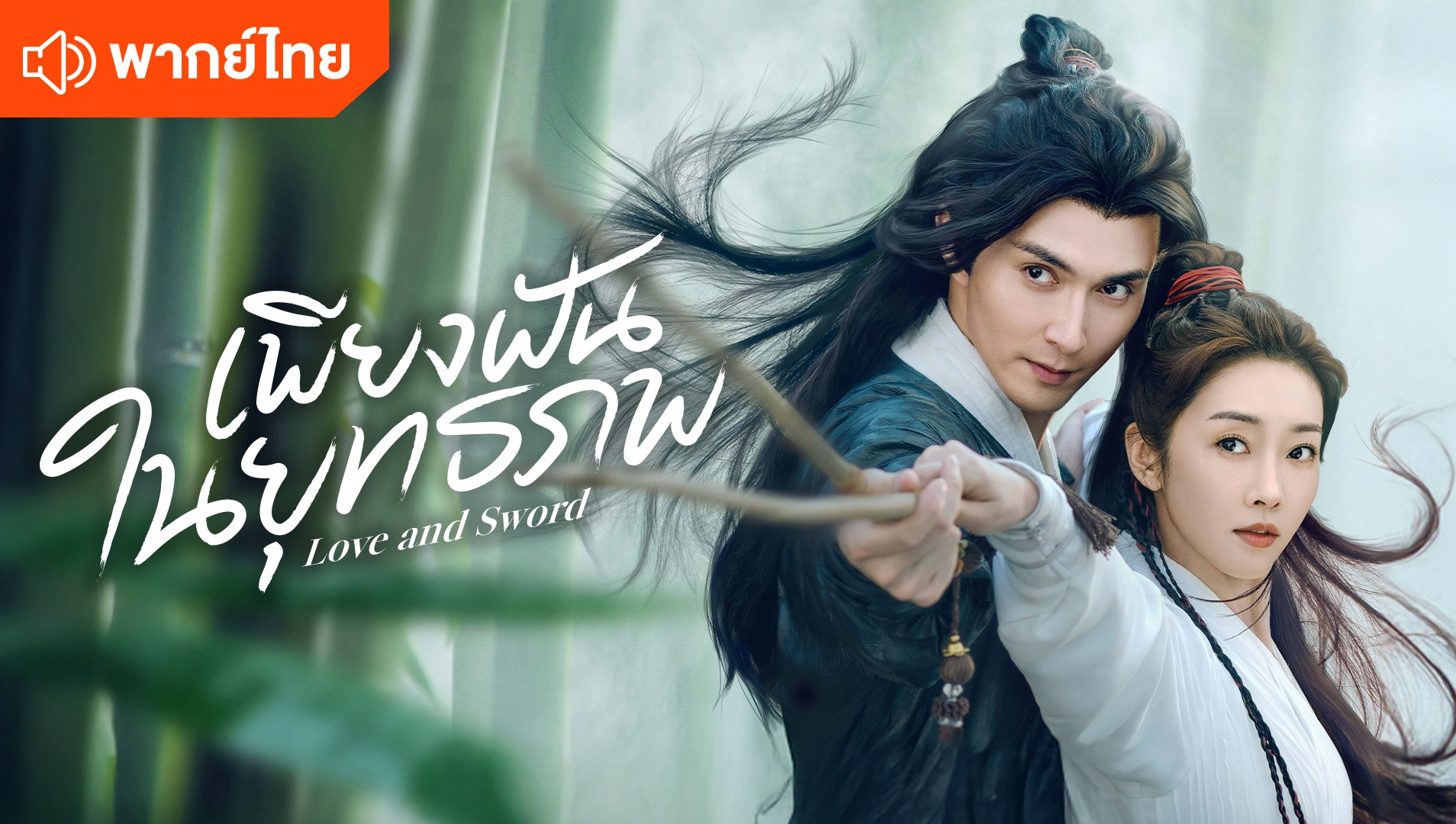 เพียงฝันในยุทธภพ (พากย์ไทย)