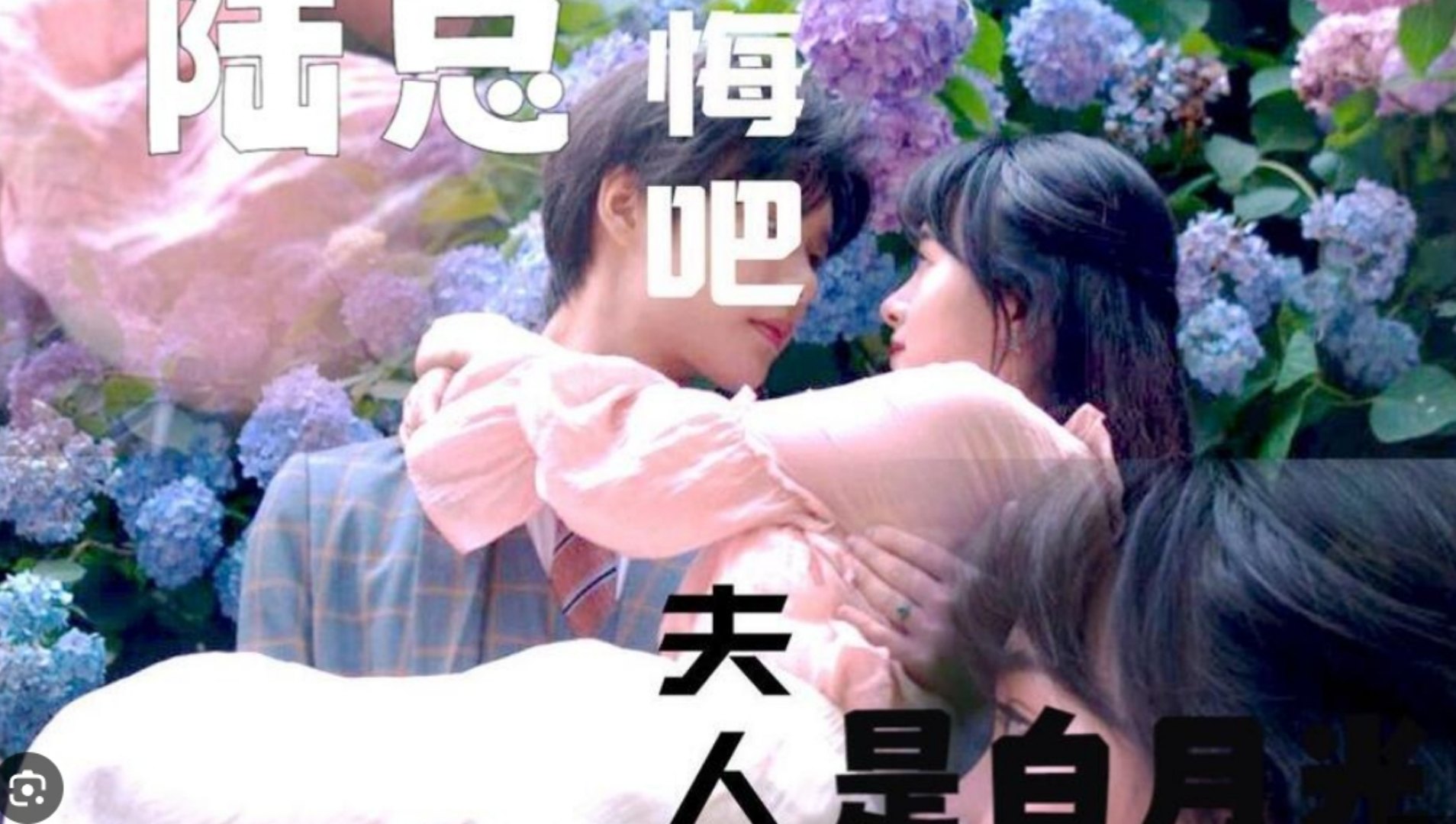陸總懺悔吧，夫人才是你的白月光