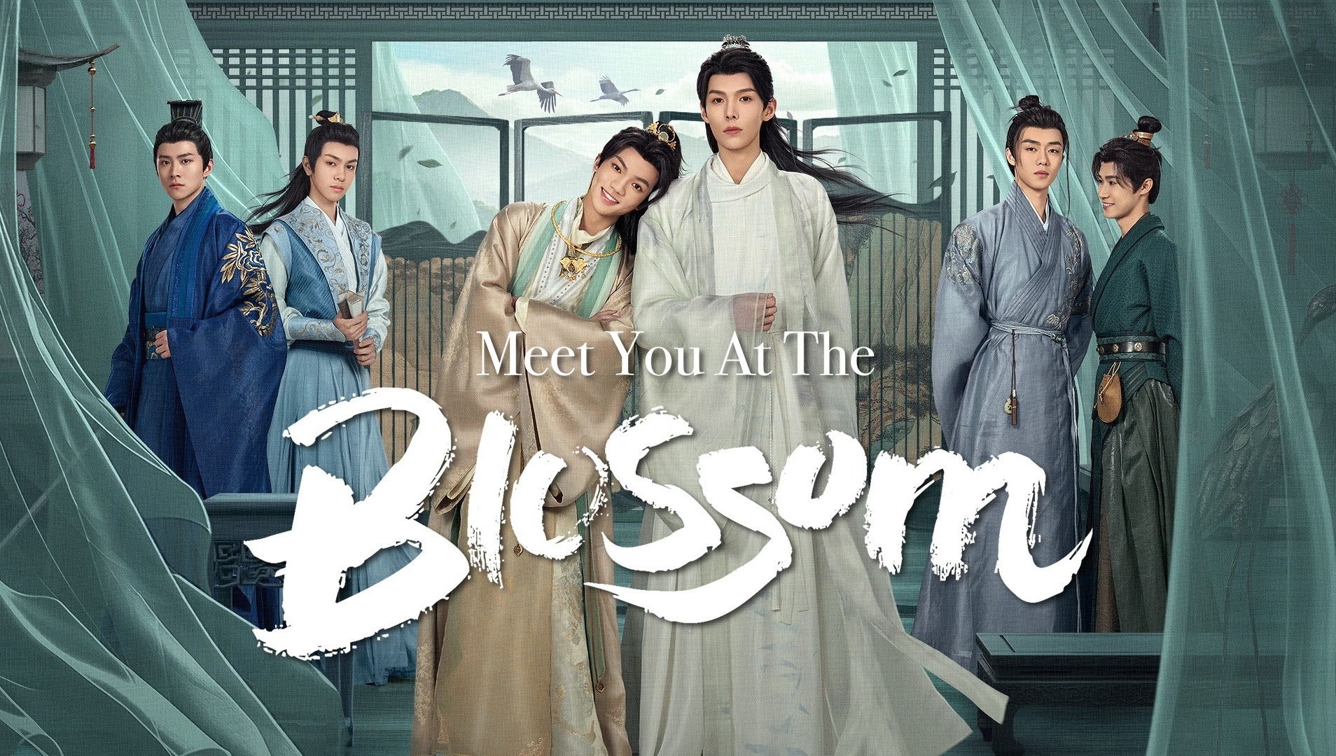 Meet You at the Blossom