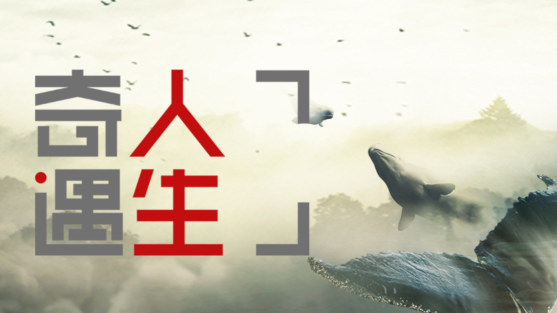 奇遇人生 第2季