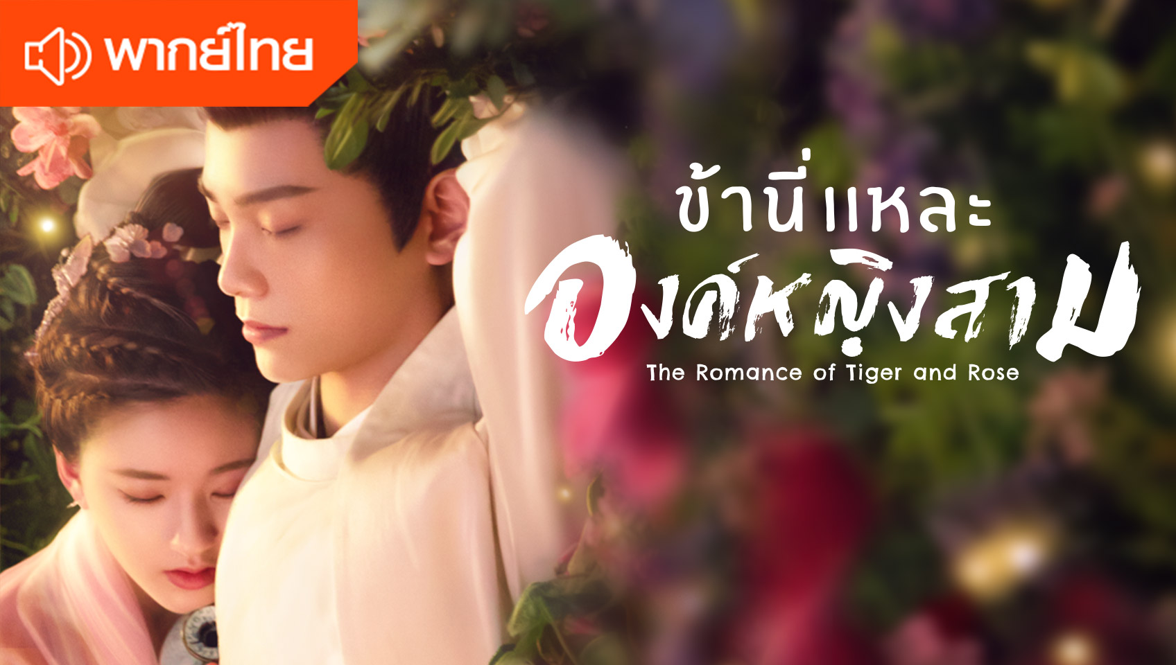 ข้านี่เเหละองค์หญิงสาม (พากย์ไทย)
