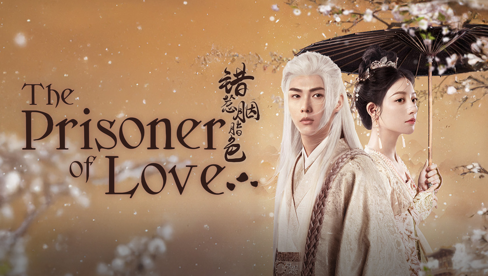 The Prisoner of Love poster