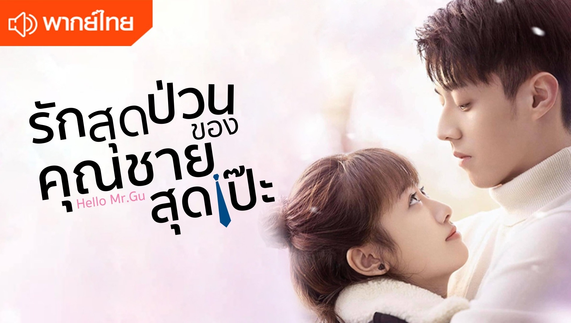 รักสุดป่วนของคุณชายสุดเป๊ะ (พากย์ไทย)