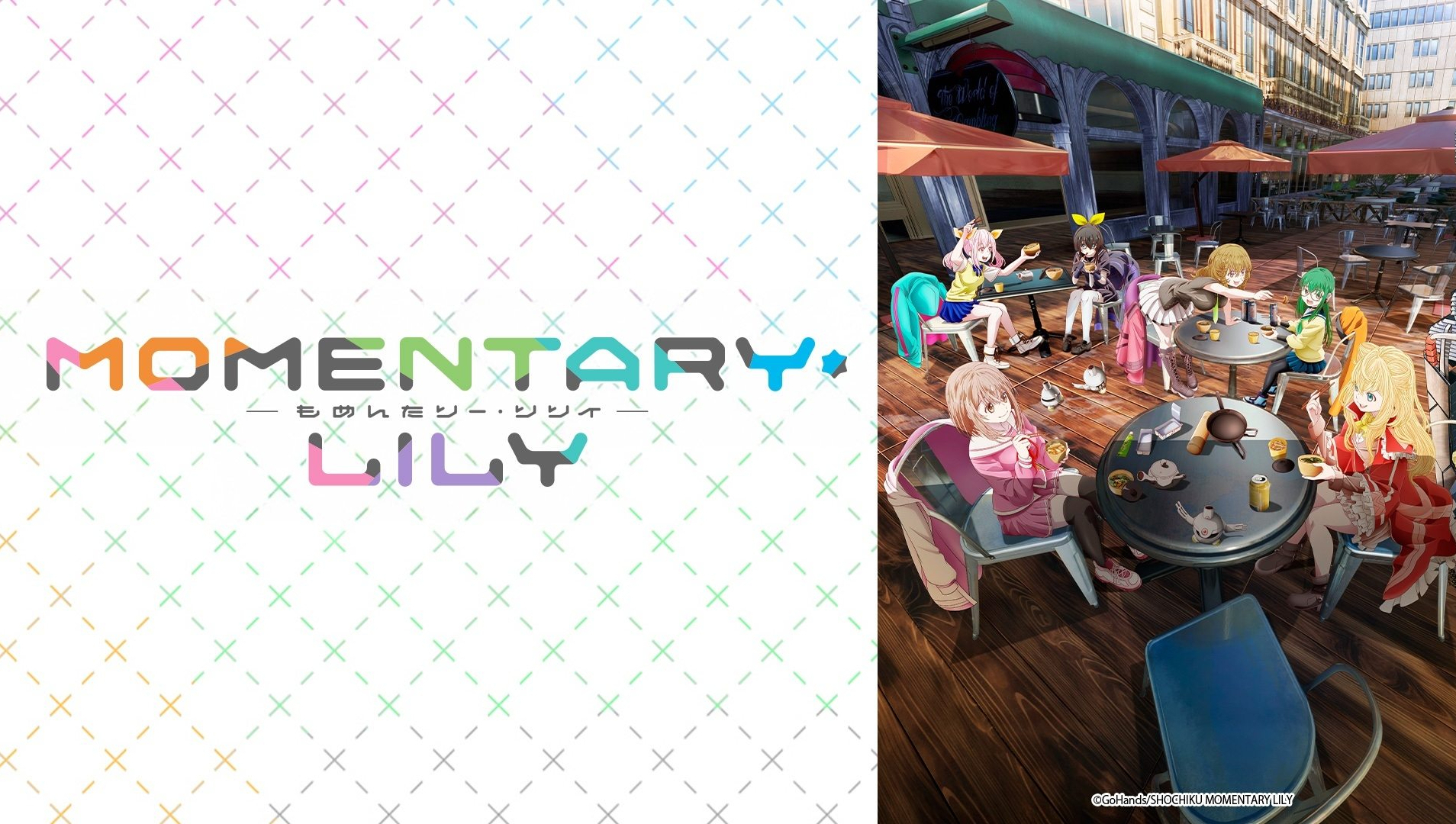 MOMENTARY LILY
