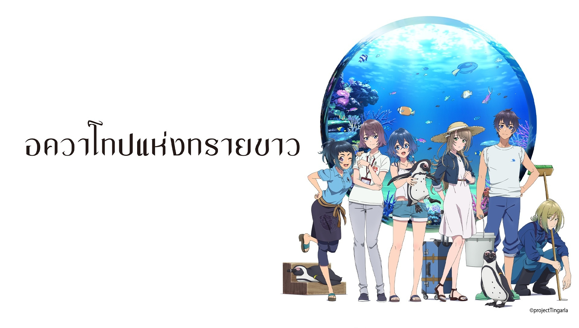 白沙的水族馆