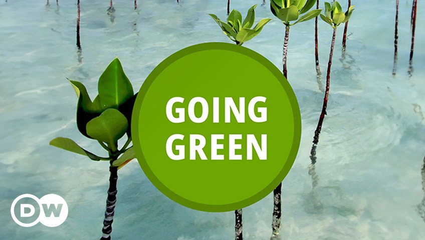 Going Green
