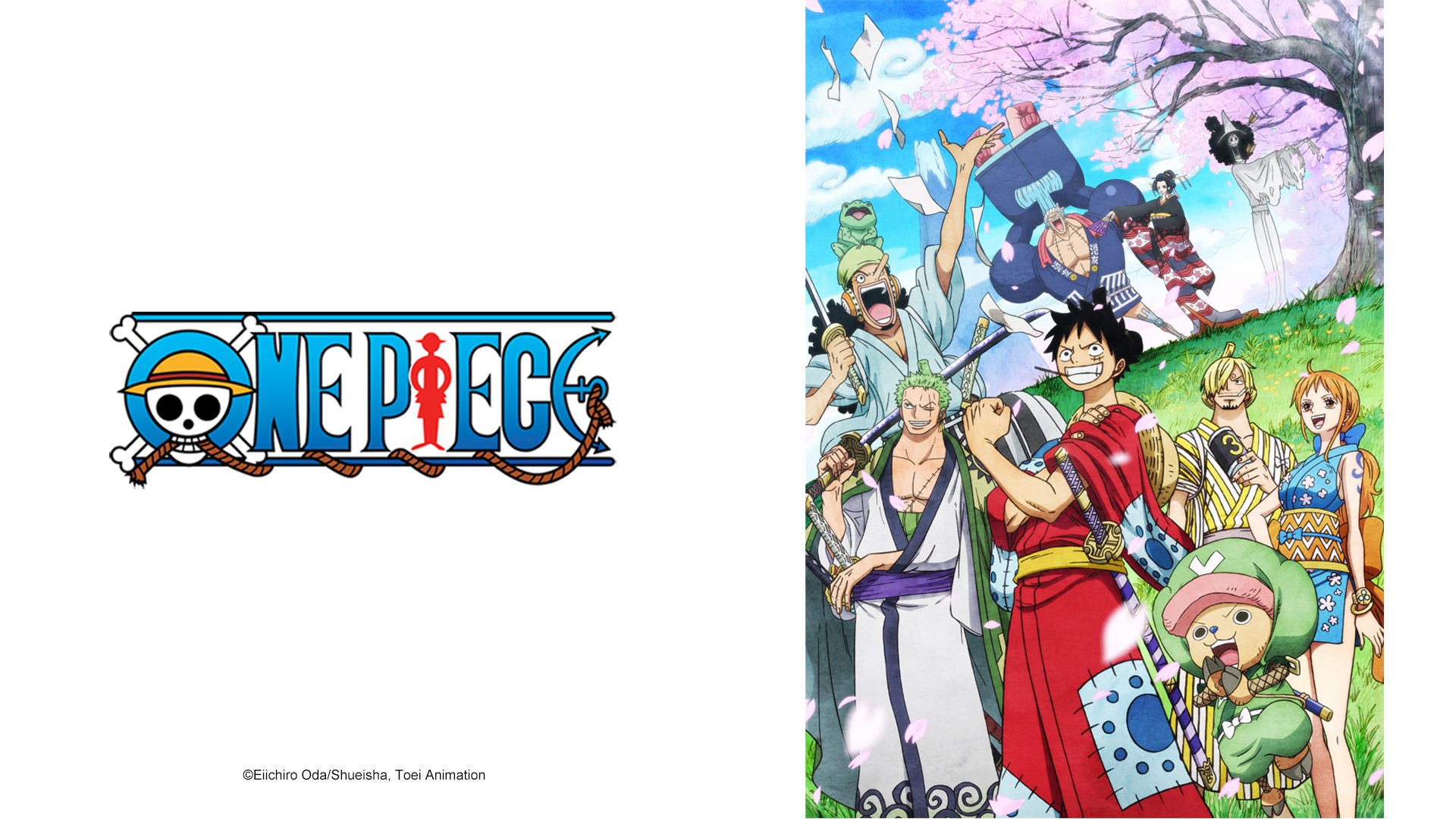 One Piece Watch HD Video Online WeTV